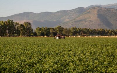 L’Agro Pontino su Linea Verde Discovery | Radioluna