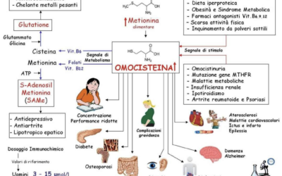 LA TERAPIA NUTRACEUTICA PER MUTAZIONE MTHFR | Neoprometheus.org