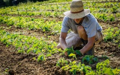 AGROALIMENTARE, REGIONE LAZIO A CIBUS PER PROMUOVERE LE ECCELLENZE DEL TERRITORIO | Latinatu