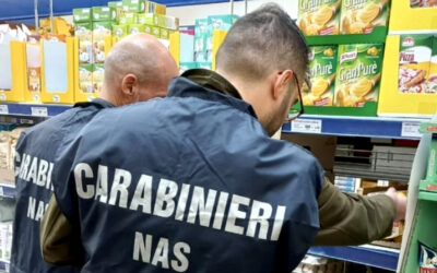 Scarsa pulizia e gatti nel deposito: negozio di alimentari chiuso e multato | Latinatoday