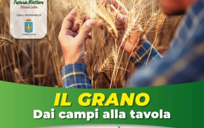 Il grano, dai campi alla tavola, doppio appuntamento | Radioluna