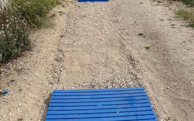 LUNGOMARE DI LATINA: VANDALIZZATA LA PASSERELLA PER DISABILI APPENA INSTALLATA | Latinatu