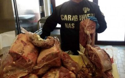 Macelleria abusiva, scatta il sequestro e la denuncia per il titolare | Latinanews.eu