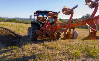 Dalla Regione due milioni per la valorizzazione dell’agricoltura del Lazio | Latinatoday