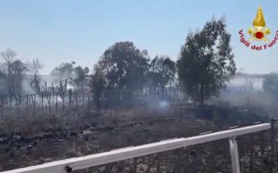 INCENDIO AL VIVAIO DI BELLA FARNIA, DATI RASSICURANTI DELL’ARPA. MA SERVONO REALMENTE? | Latinatu