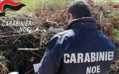 DISCARICA ABUSIVA NELLA ZONA INDUSTRIALE DI LATINA: SEQUESTRATE DUE AREE DA 10MILA METRI QUADRATI | Latinatu