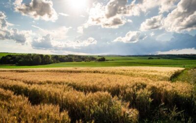 AGRICOLTURA: SIGLATO IL NUOVO CONTRATTO PROVINCIALE DEL LAVORO | Latinatu