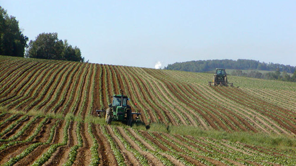 L’export e il rilancio del settore agricolo in provincia: dove sono destinati i prodotti pontini | Latinatoday