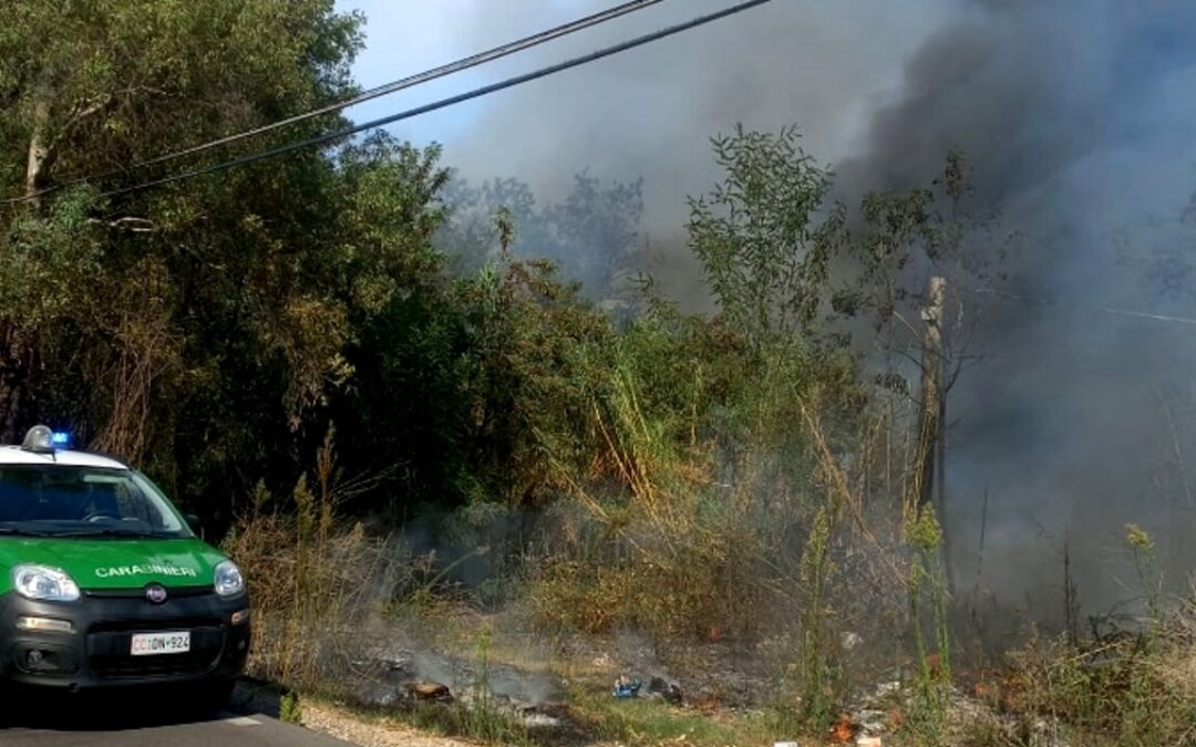 Lancia un ordigno infuocato e appicca un incendio in un bosco: preso il piromane | Latinatoday