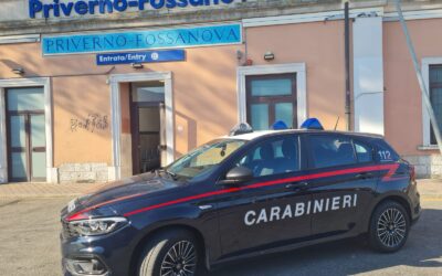 TENTA IL SUICIDIO SUI BINARI DELLA STAZIONE PRIVERNO-FOSSANOVA: SALVATO DAI CARABINIERI | Latinatu