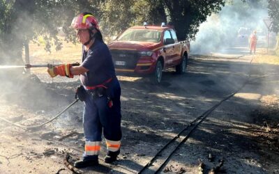 Vasto incendio a San Felice Circeo, task force per domare le fiamme | Latinatoday