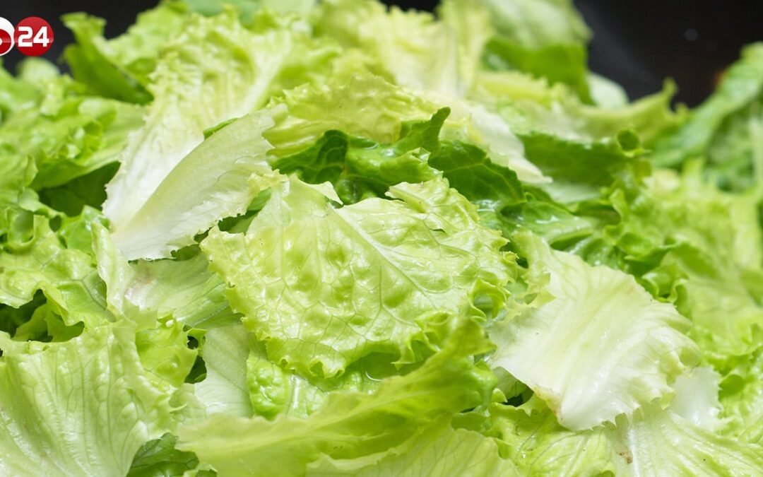 LISTERIA NELL’INSALATA: RITIRATI 19 MARCHI DI ICEBERG IN BUSTA | Byoblu.com