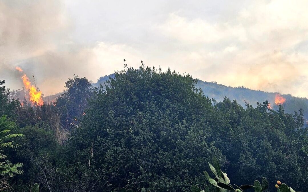 Incendio a Norma: brucia il bosco in località Colle Maria Gentile | Latinatoday