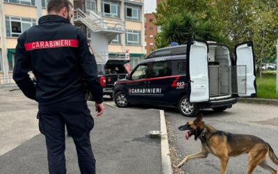 FALSO ALLARME BOMBA AL GALILEI-SANI DI LATINA, I CARABINIERI SULLE TRACCE DI CHI HA DATO L’ALLARME | Latinatu