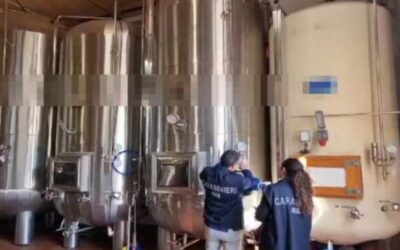 INSETTI, ESCREMENTI E RAGNATELE NELL’AZIENDA VINICOLA A CORI: SCATTA IL SEQUESTRO | Latinatu