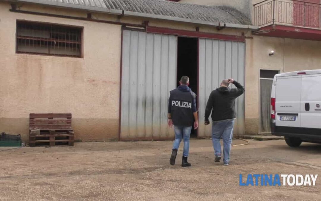 VIDEO | Ispezione in un’azienda agricola di Sezze | Latinatoday