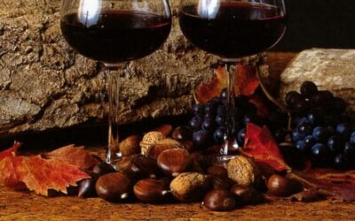 Sagra delle Castagne di Norma: tutto pronto per la 55° edizione | Latinatoday