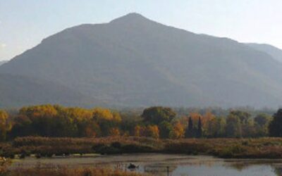 Visita guidata alla scoperta del Parco di Pantanello | Latinatoday