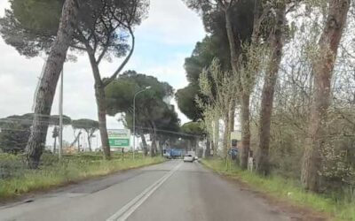 Scontro tra tre mezzi manda in tilt il traffico alle porte di Latina Scalo: caos in via Epitaffio